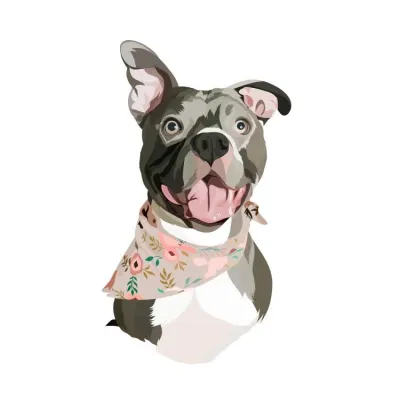 Brooklyn's Dog Boutique