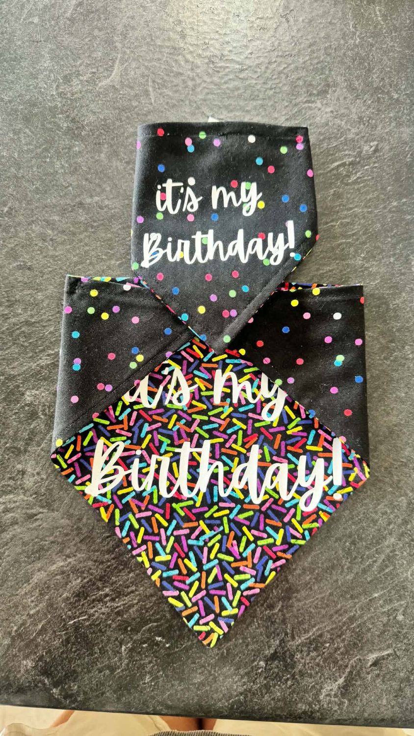 Brit + Bear Birthday Bandanna