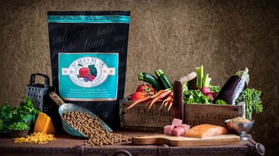 Fromm Four-Star Dog Food - Salmon Tunalini