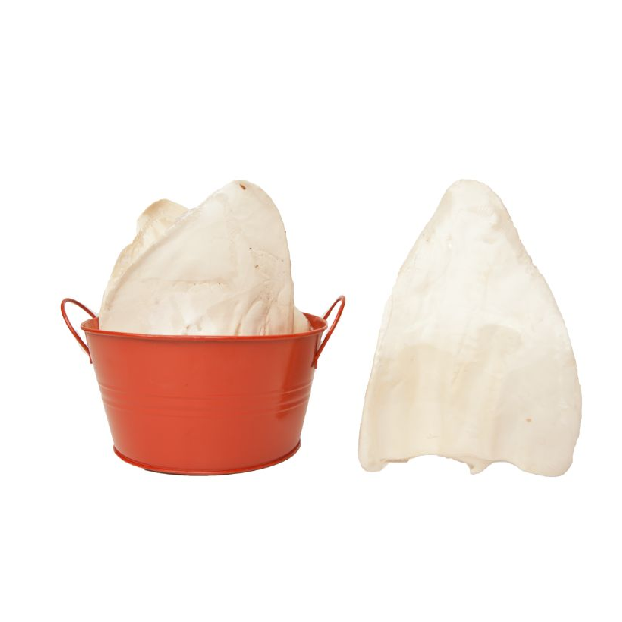 BBB Cow Ears, Flavor: Plain