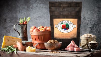 Fromm Four-Star Dog Food - Pork &amp; Applesauce