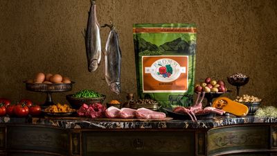 Fromm Four-Star Dog Food - Rancherosa