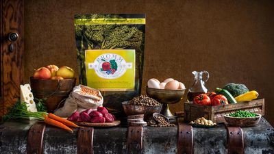 Fromm Four-Star Dog Food - Lamb &amp; Lentil