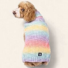 PR Rainbow Ombre Turtleneck Sweater