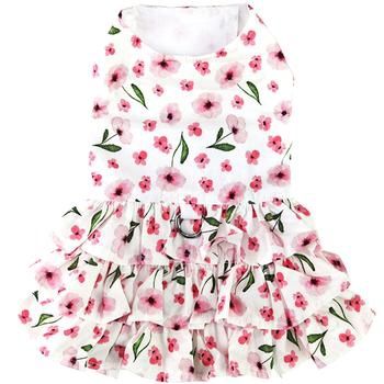 DD Spring Wildflower Dog Dress, Size: XL