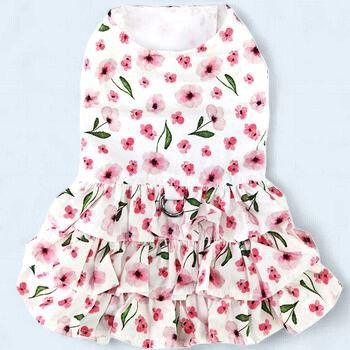 DD Spring Wildflower Dog Dress