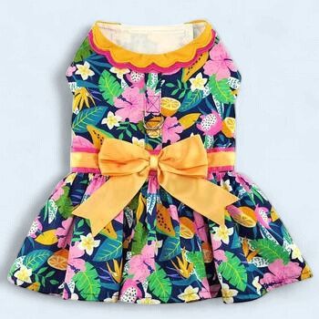 DD Fiesta Floral Dog Dress