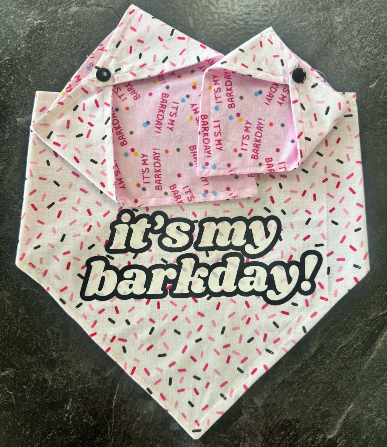 Brit + Bear Barkday Bandanna