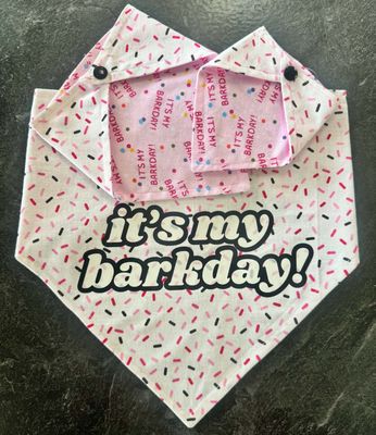 Brit + Bear Barkday Bandanna