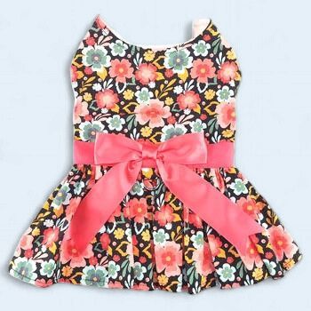 DD Blooming Blue and Peach Floral Dog Dress