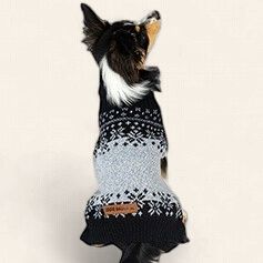 Eddie Bauer, Whitman Fair Isle Sweater, Gray/Black