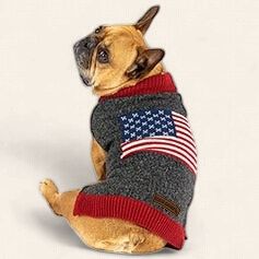 Eddie Bauer, American Flag Crewneck Sweater, Charcoal