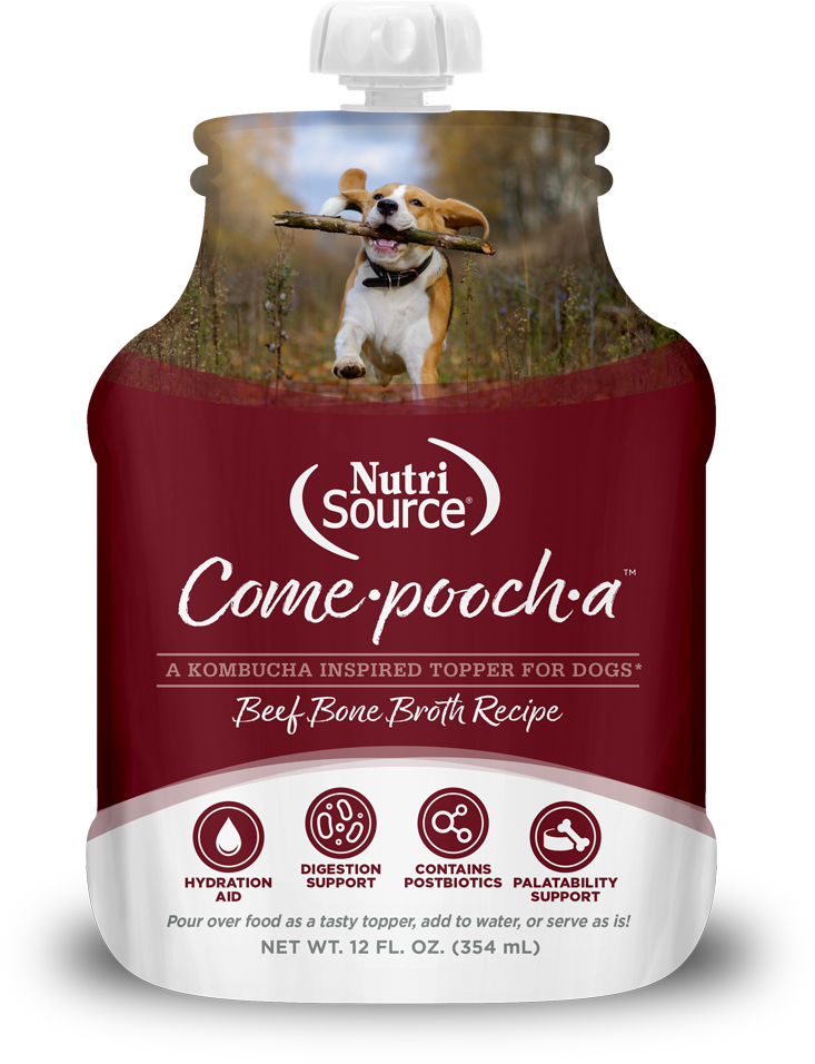 Nutrisource Come-pooch-a, Bone Broth, Flavor: Beef