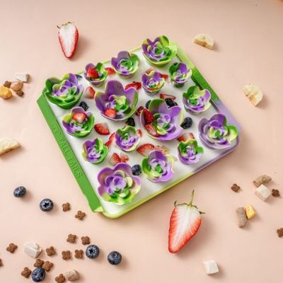 TT Foraging Mat, Succulent Garden