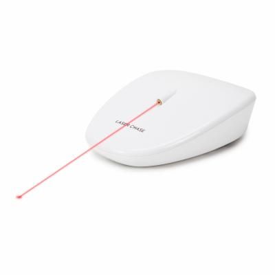 PetSafe Laser Tail Cat Toy