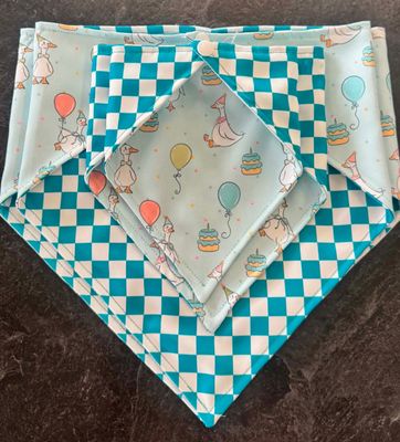 Brit + Bear Birthday Bandanna 2026