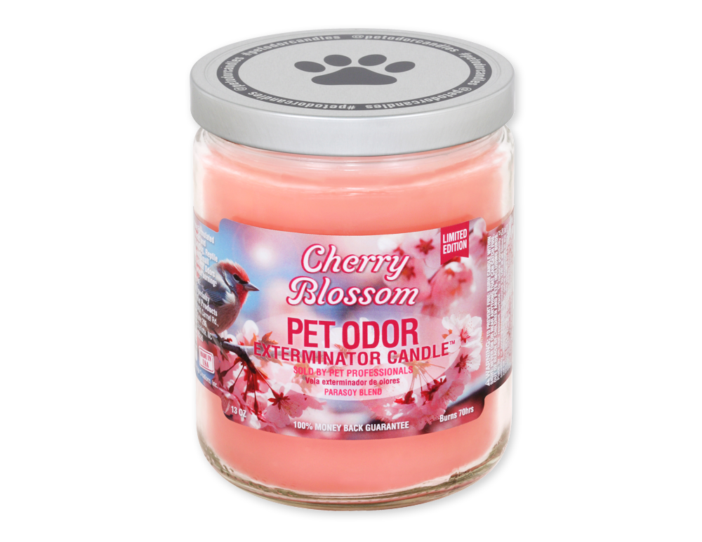 Pet Odor Exterminator Candle - Floral Mix, Scent: Cherry Blossom