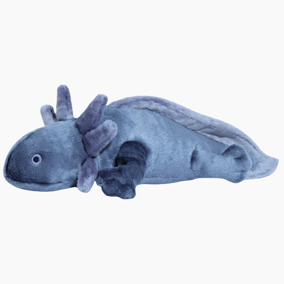 Fluff &amp; Tuff - Millie Axolotl