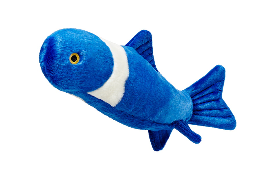 Fluff &amp; Tuff - Gil Koi