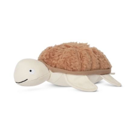 Out Of My Shell Earth Friendly Toy