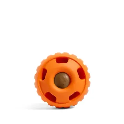 Pumpkin Pupsicle