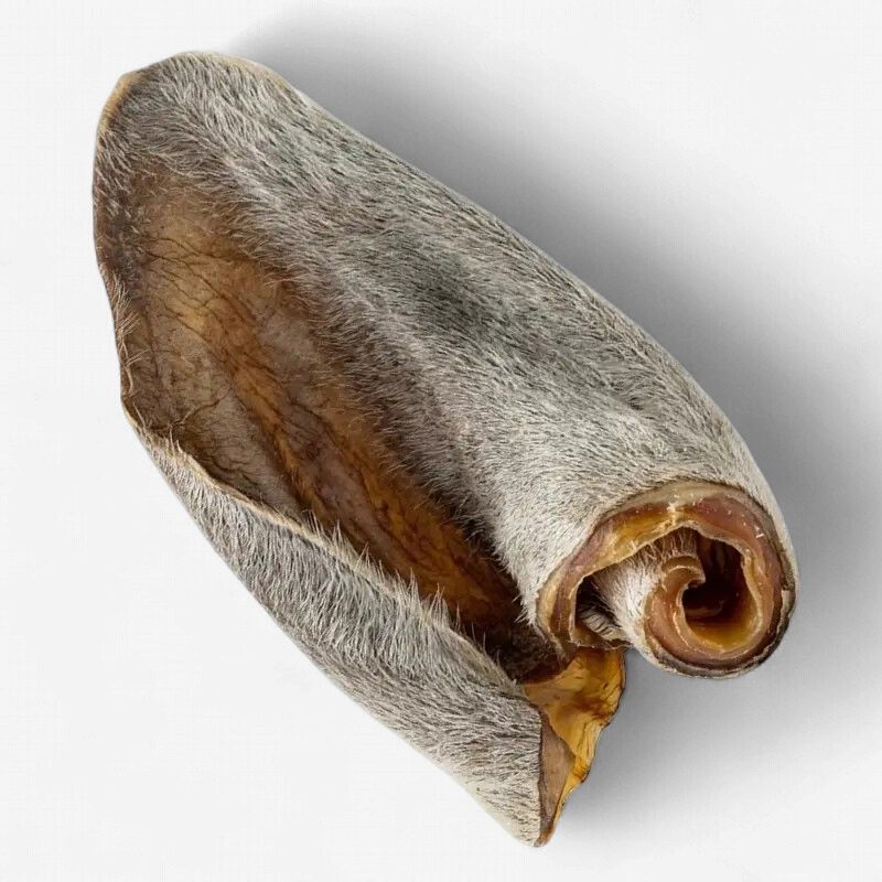 Hairy Cow Ear