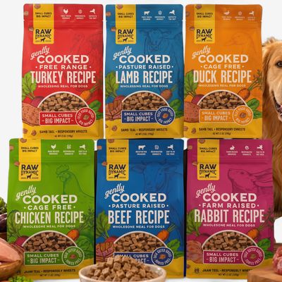 Raw Dynamic Gently Cooked Frozen Dog Food