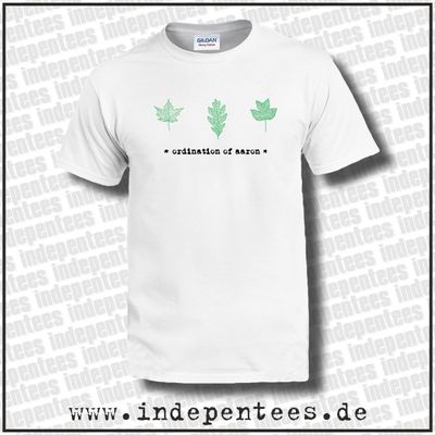 Ordination of Aaron | Ordoa 4 Ordination of Aaron | Ordoa 4