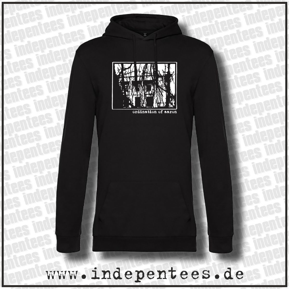 Ordination of Aaron | Hoodie