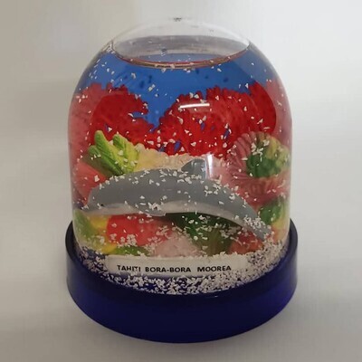 Water globe - Dolphin