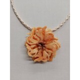 Collier de coquillages - 2