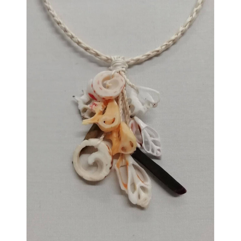 Collier de coquillages - 9