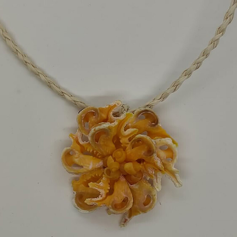 Collier de coquillages - 10