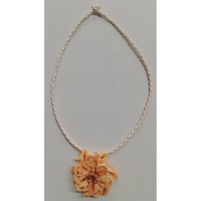 Collier de coquillages - 2