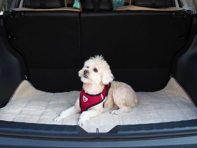 BOLSO/CAMA DE VIAJE 2 EN 1 PARA PERROS