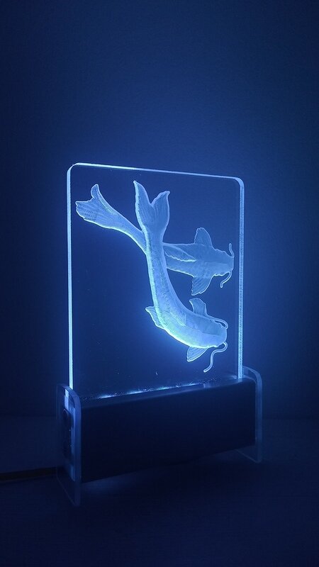 Koi Fish QT 3D Light