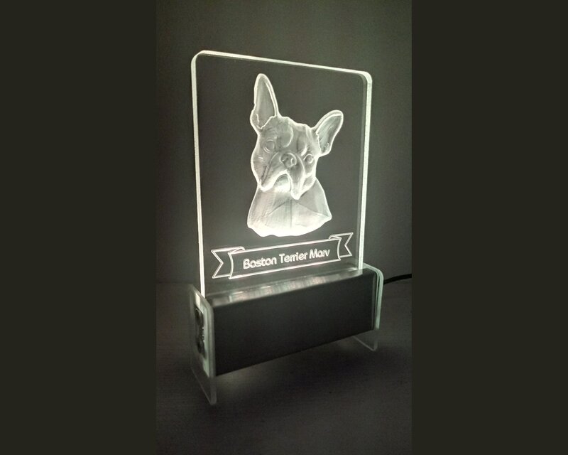 Boston Terrier Dog QT 3D Light
