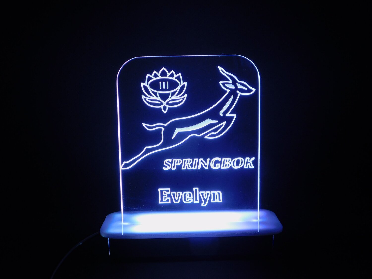 Springbok Logo Night Light