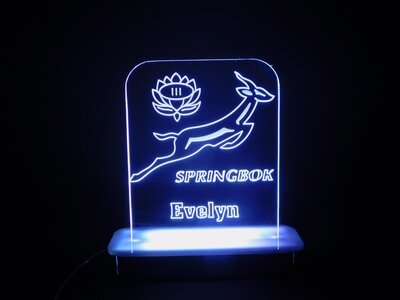Springbok Logo Night Light