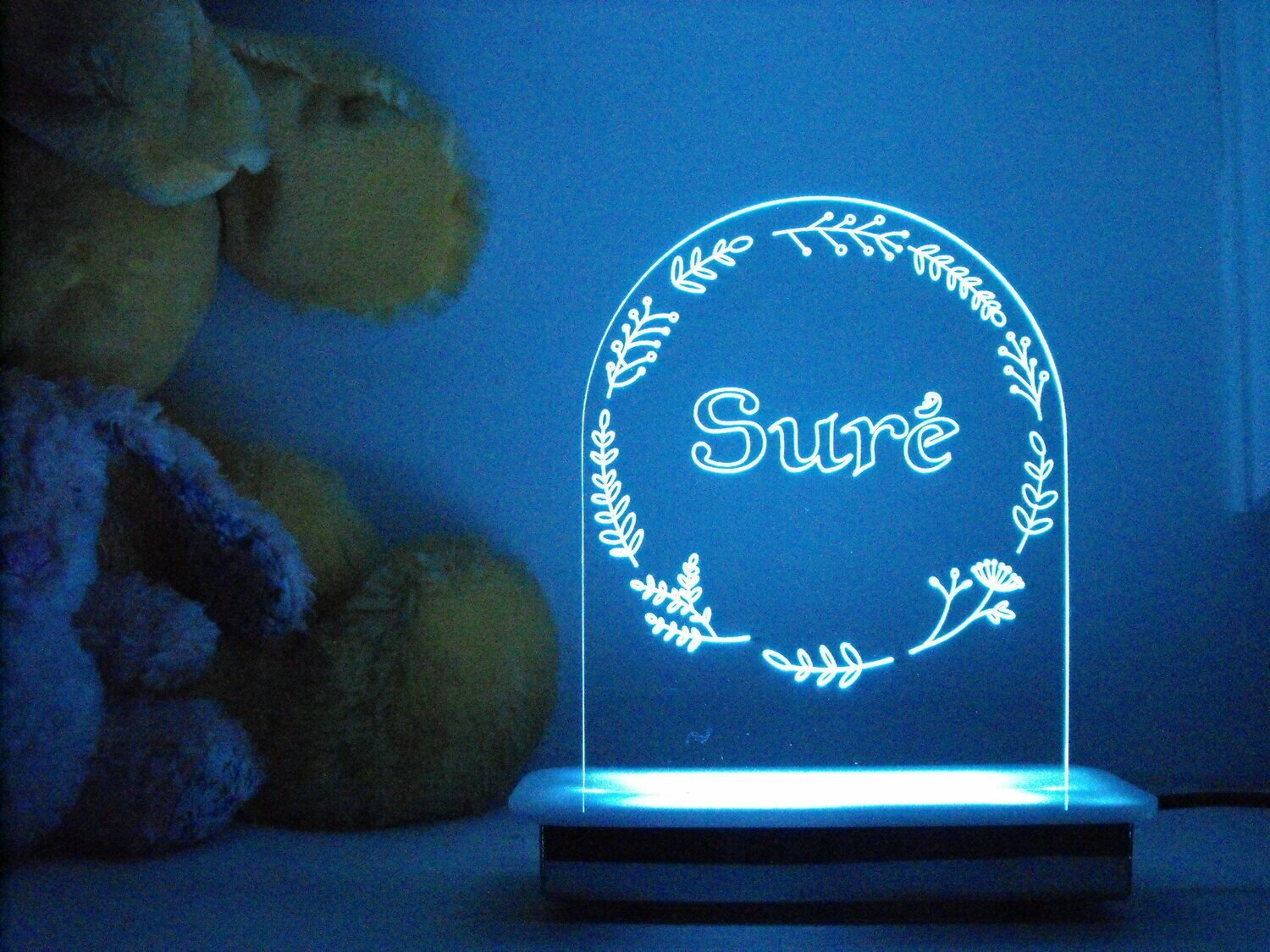 Beautiful Daisy Wreath Night Light