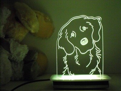 Sade the Labrador Dog Night Light