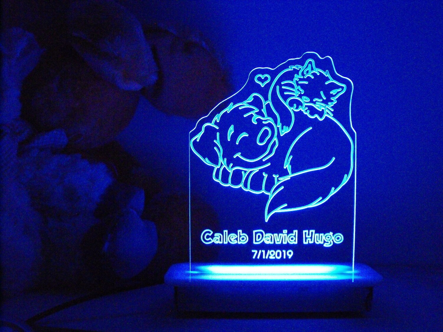 Snuggling Cat and Dog Night Light