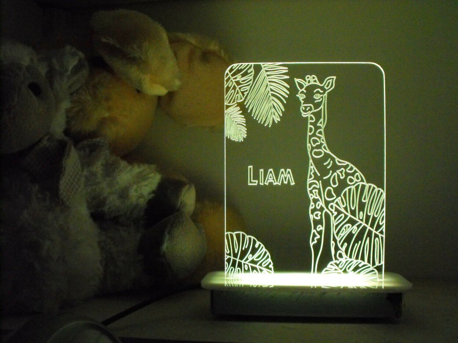 Liam&#39;s Giraffe Night Light
