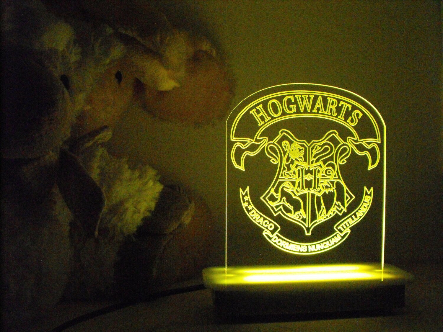 Hogwarts Crest Night Light