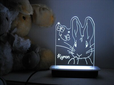 Butterfly Rabbit  Night Light