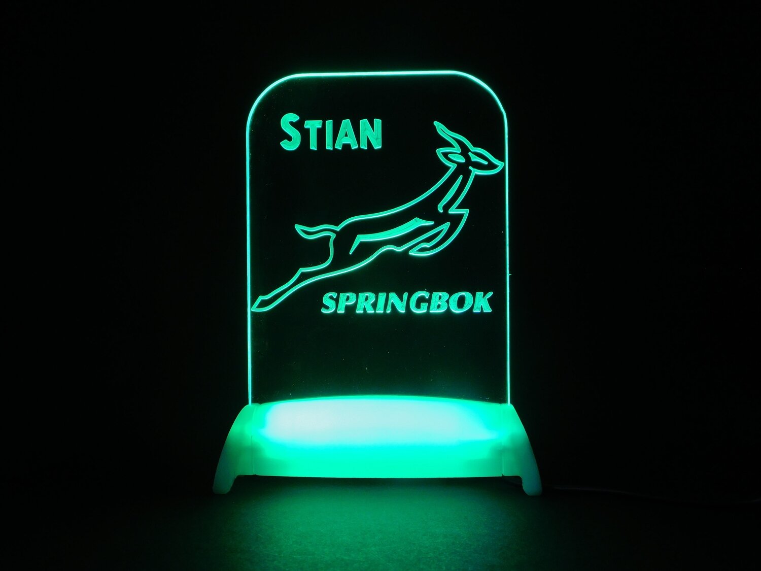 SA Springbok Team Night Light