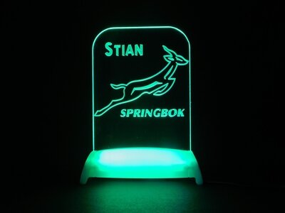 SA Springbok Team Night Light