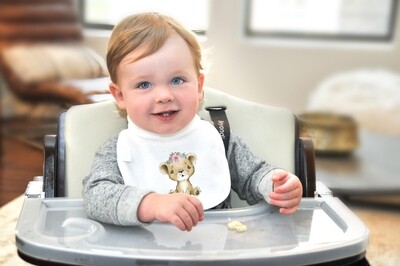 Cotton New Born Baby Bib with a water colour Lion