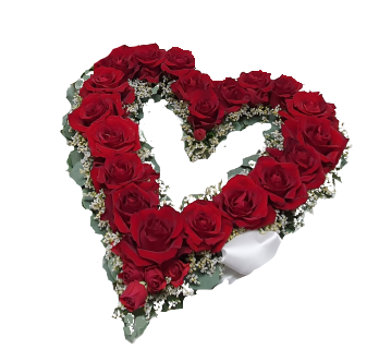 Åpent hjerte i røde roser med hvit kant