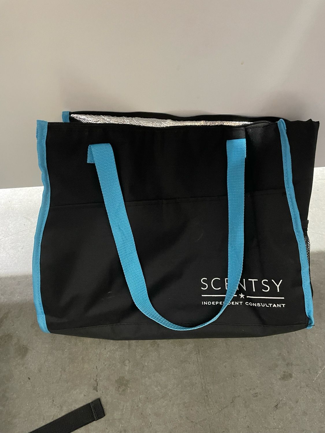 Cooler Bag